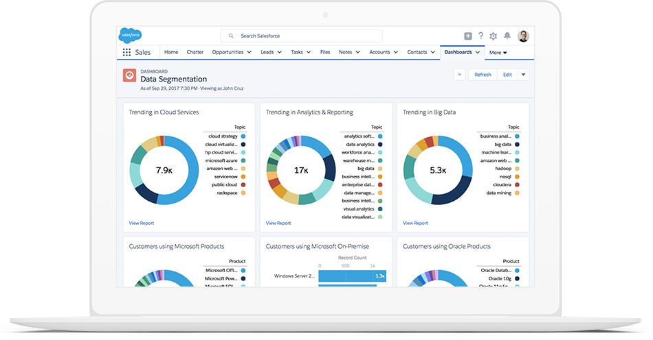 Salesforce data analytics dashboard showing different data segments
